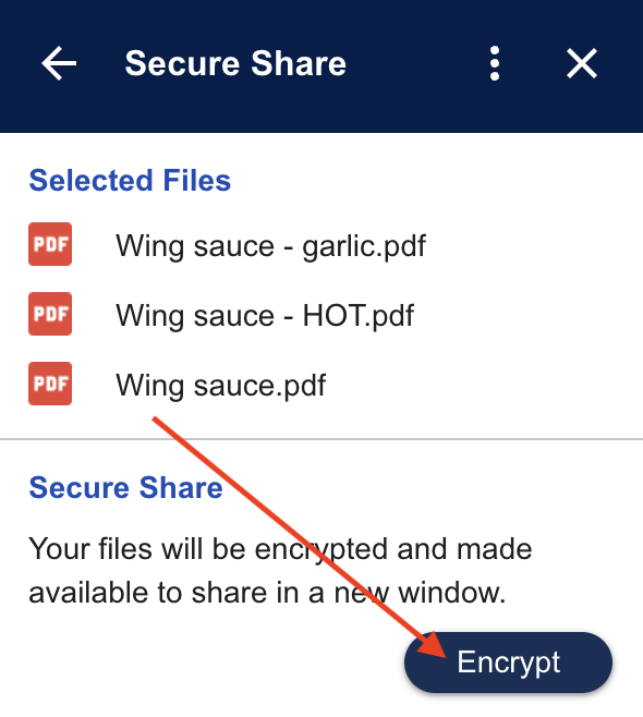 Encrypt button