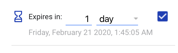 Expiration entry fields