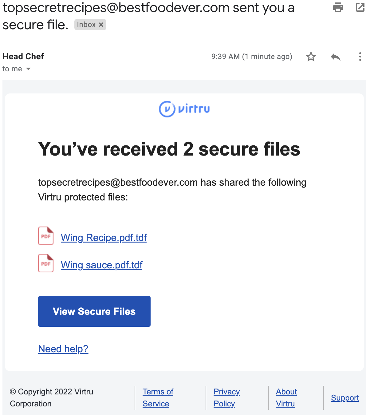 secure drive file template